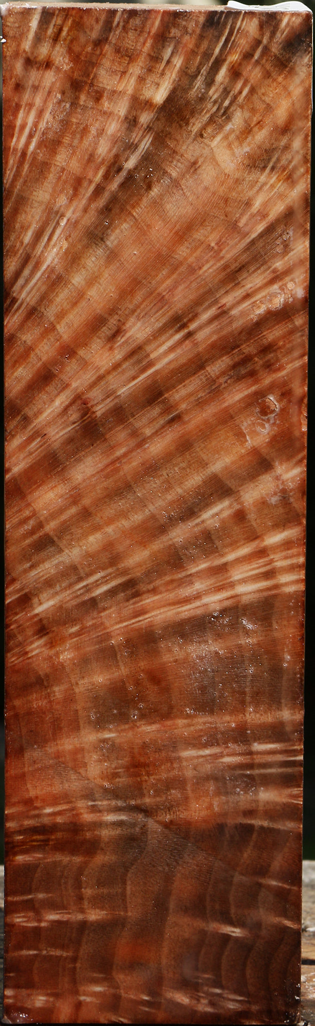 Madrone Burl Peppermill