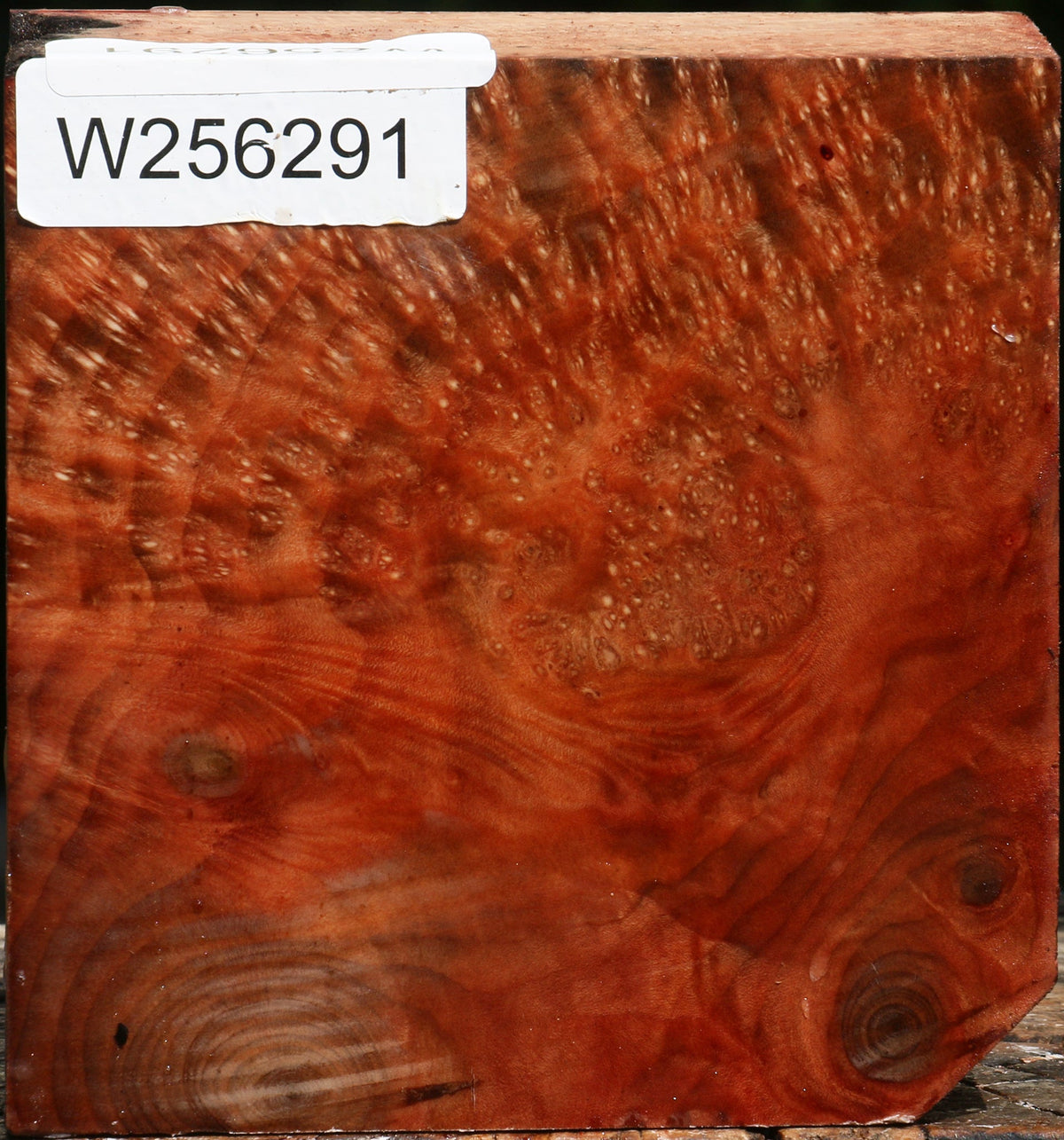 Madrone Burl Bowl Blank