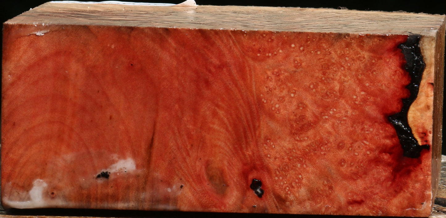 Madrone Burl Live Edge Turning Blank