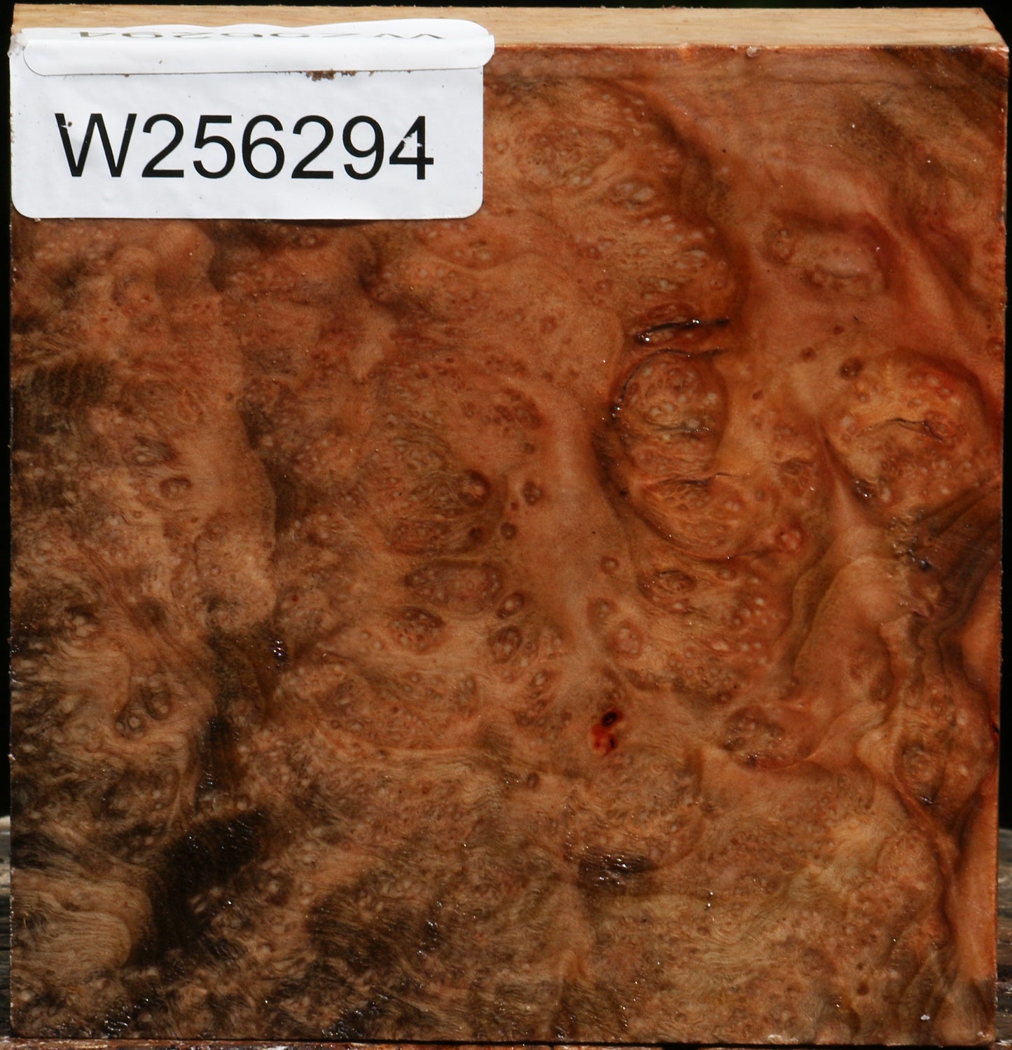 Madrone Burl Bowl Blank