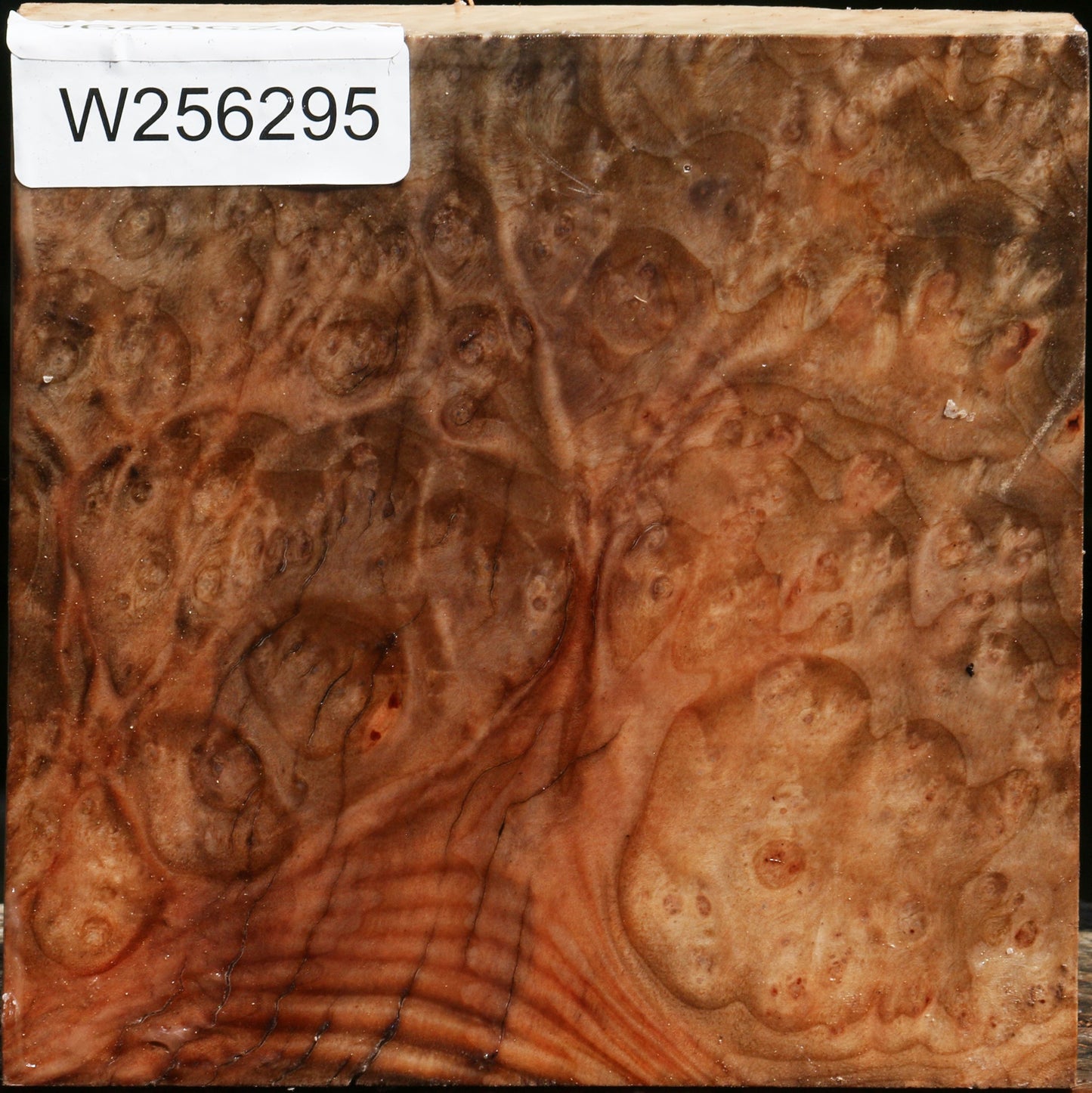 Madrone Burl Bowl Blank