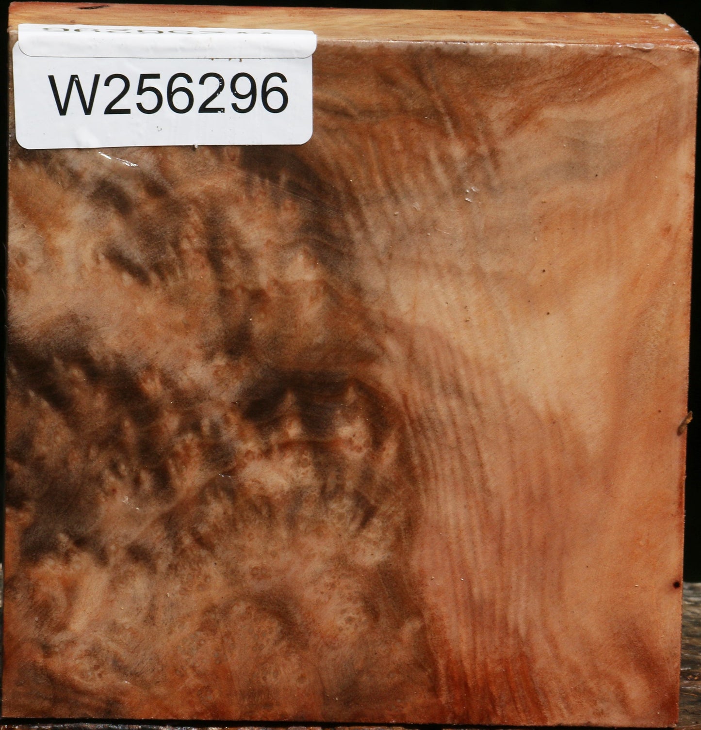Madrone Burl Bowl Blank