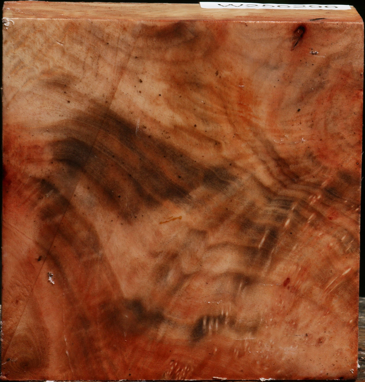 Madrone Burl Bowl Blank