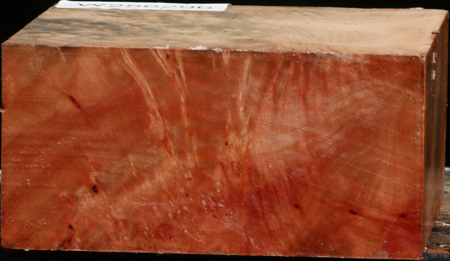 Madrone Burl Bowl Blank