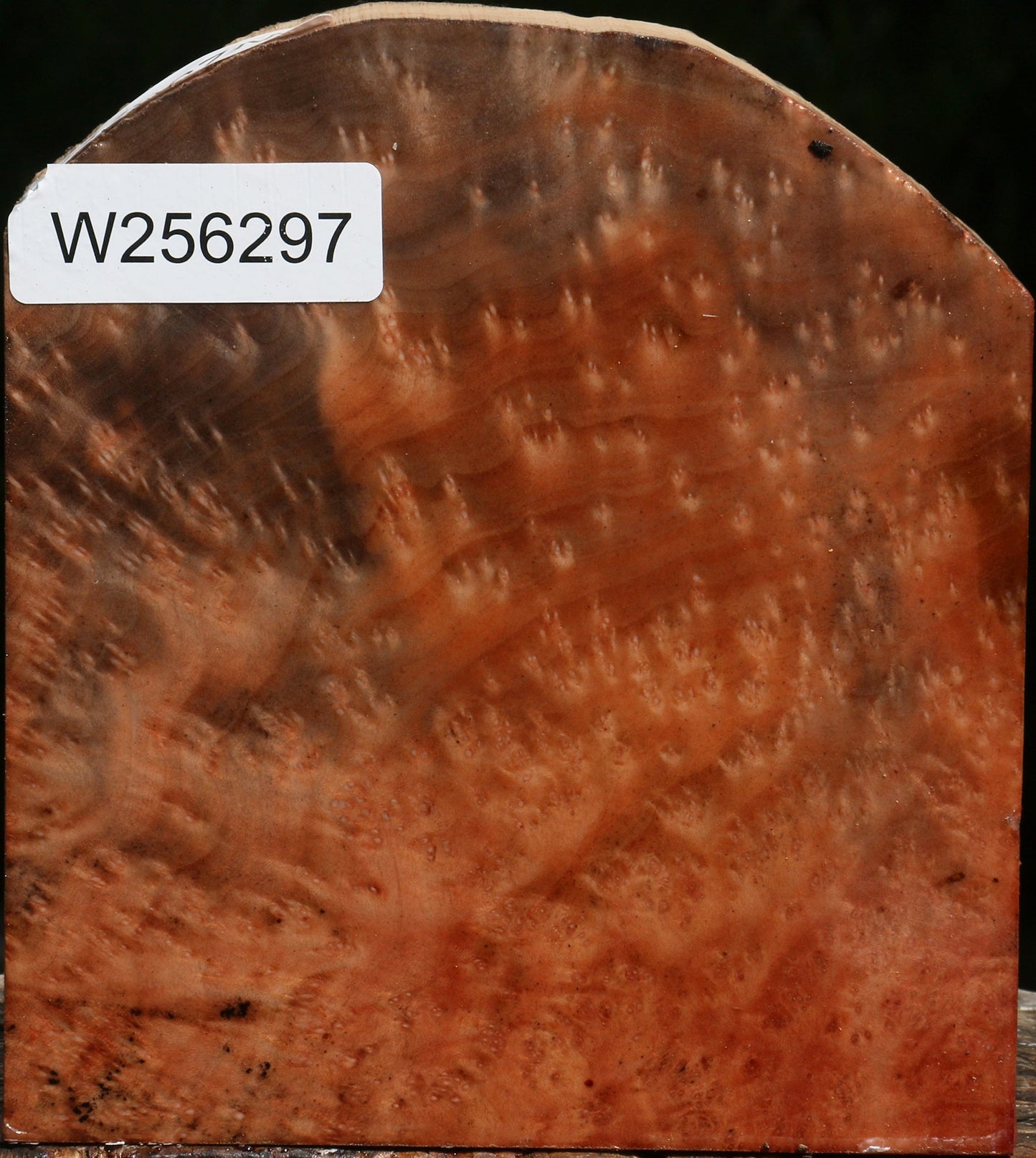 Madrone Burl Turning Blank
