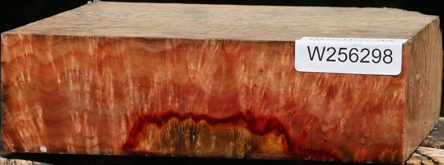 Madrone Burl Bowl Blank