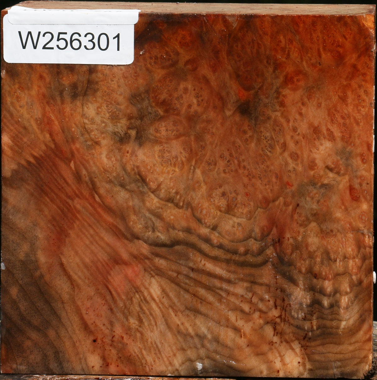 Madrone Burl Bowl Blank