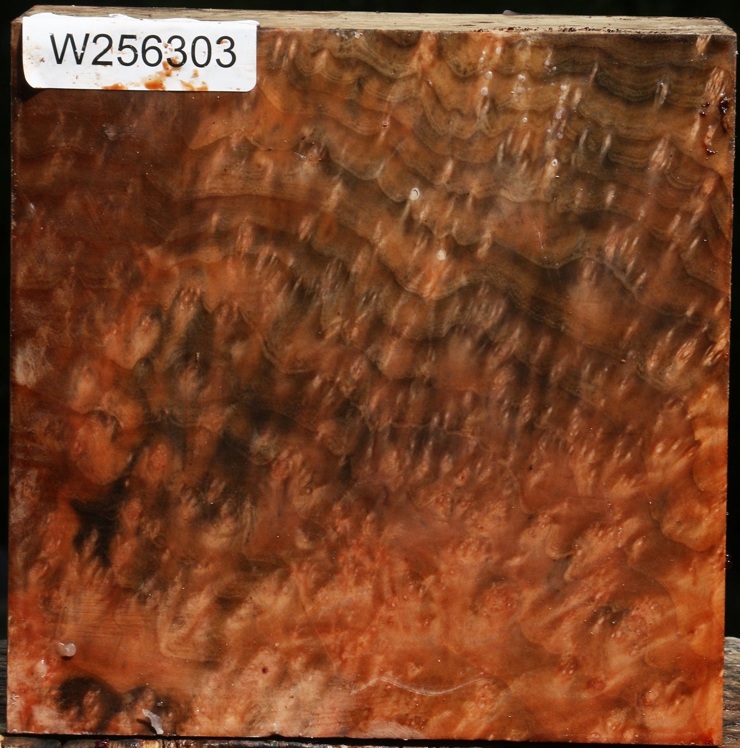 Madrone Burl Bowl Blank