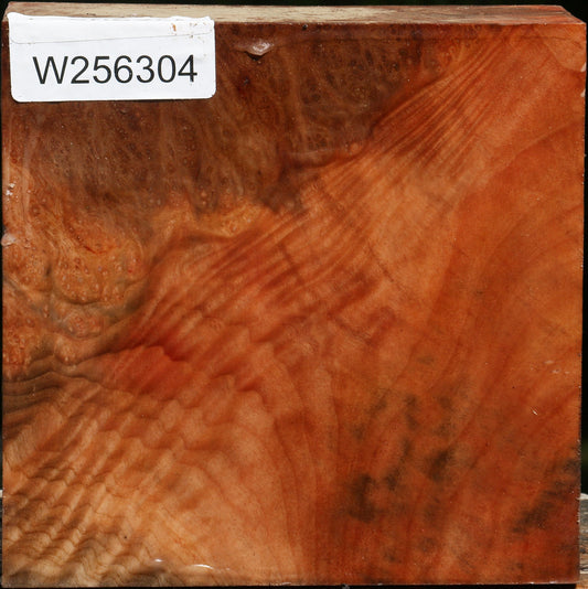 Figured Madrone Bowl Blank