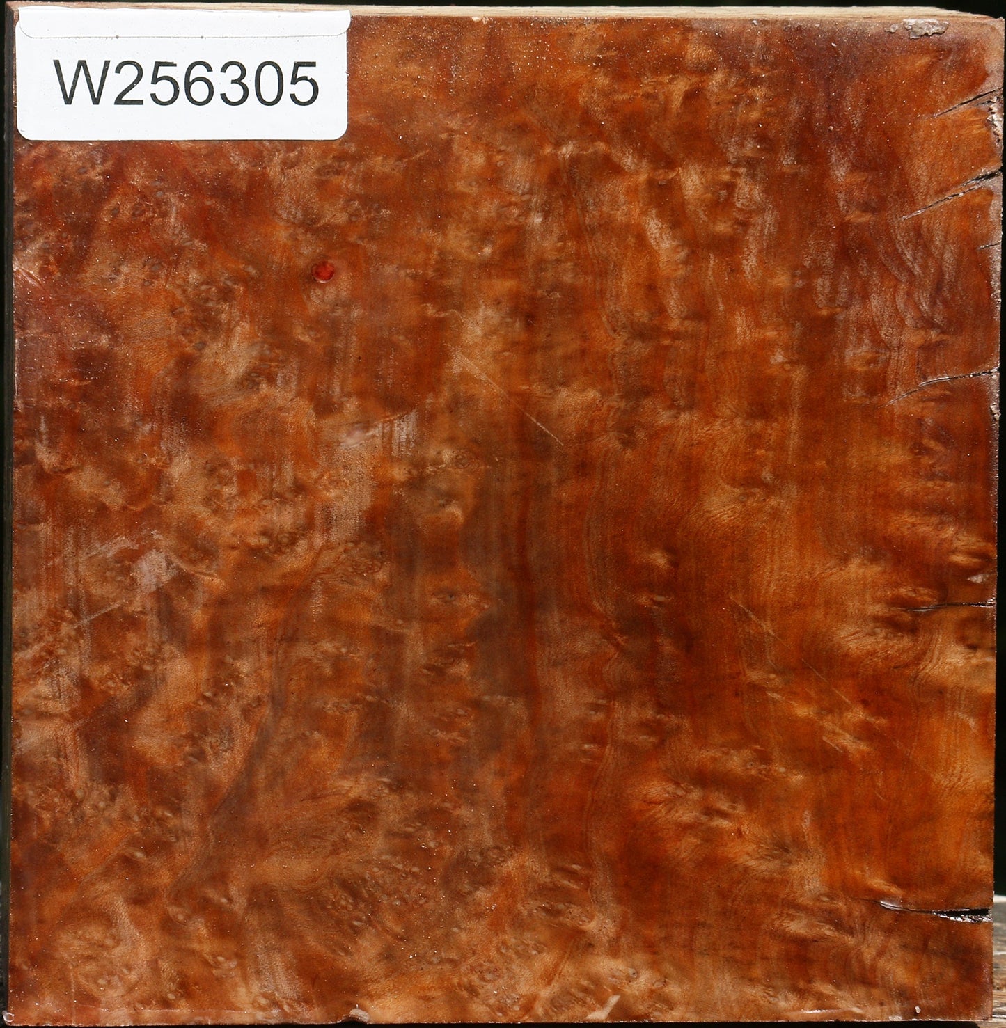 Madrone Burl Bowl Blank