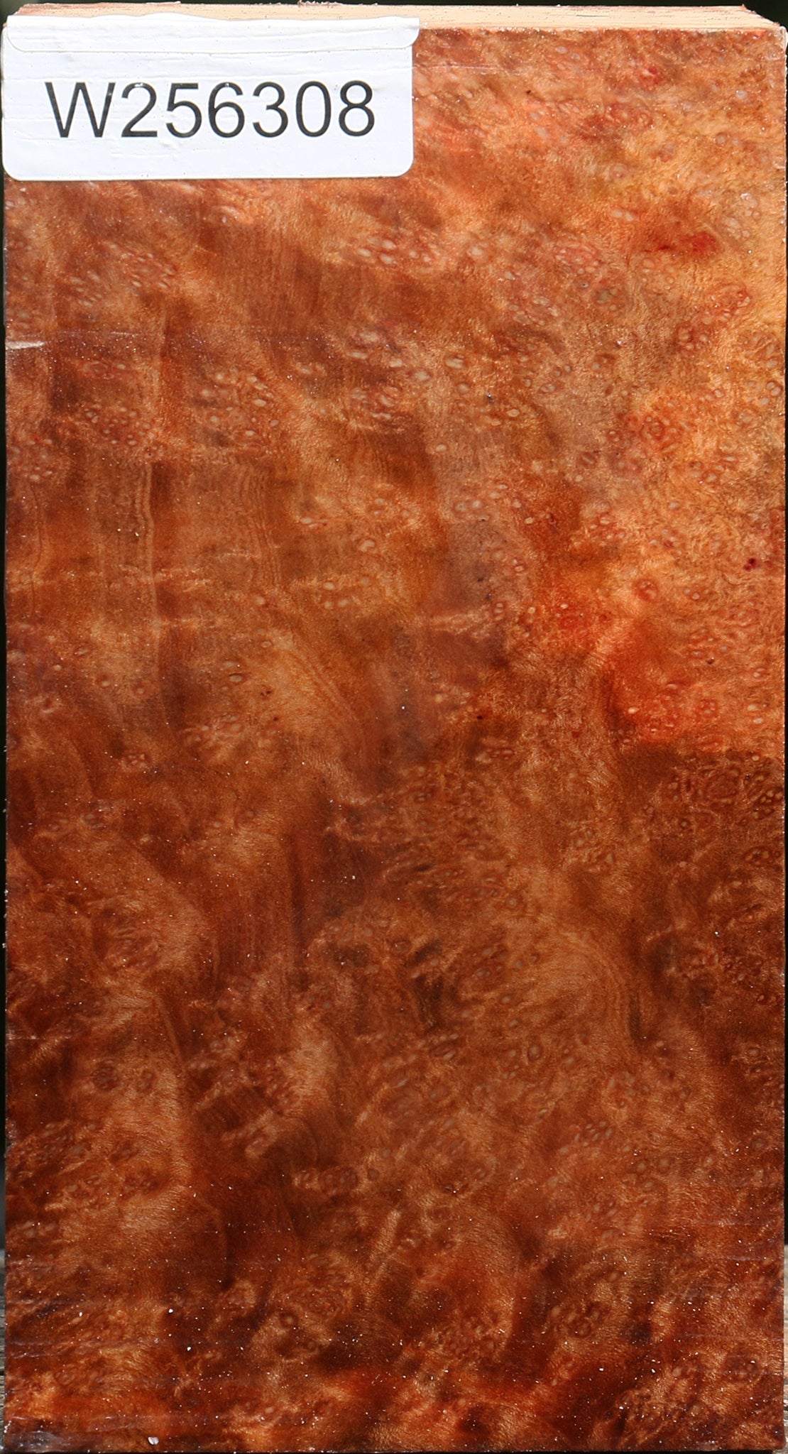 Madrone Burl Vessel Blank