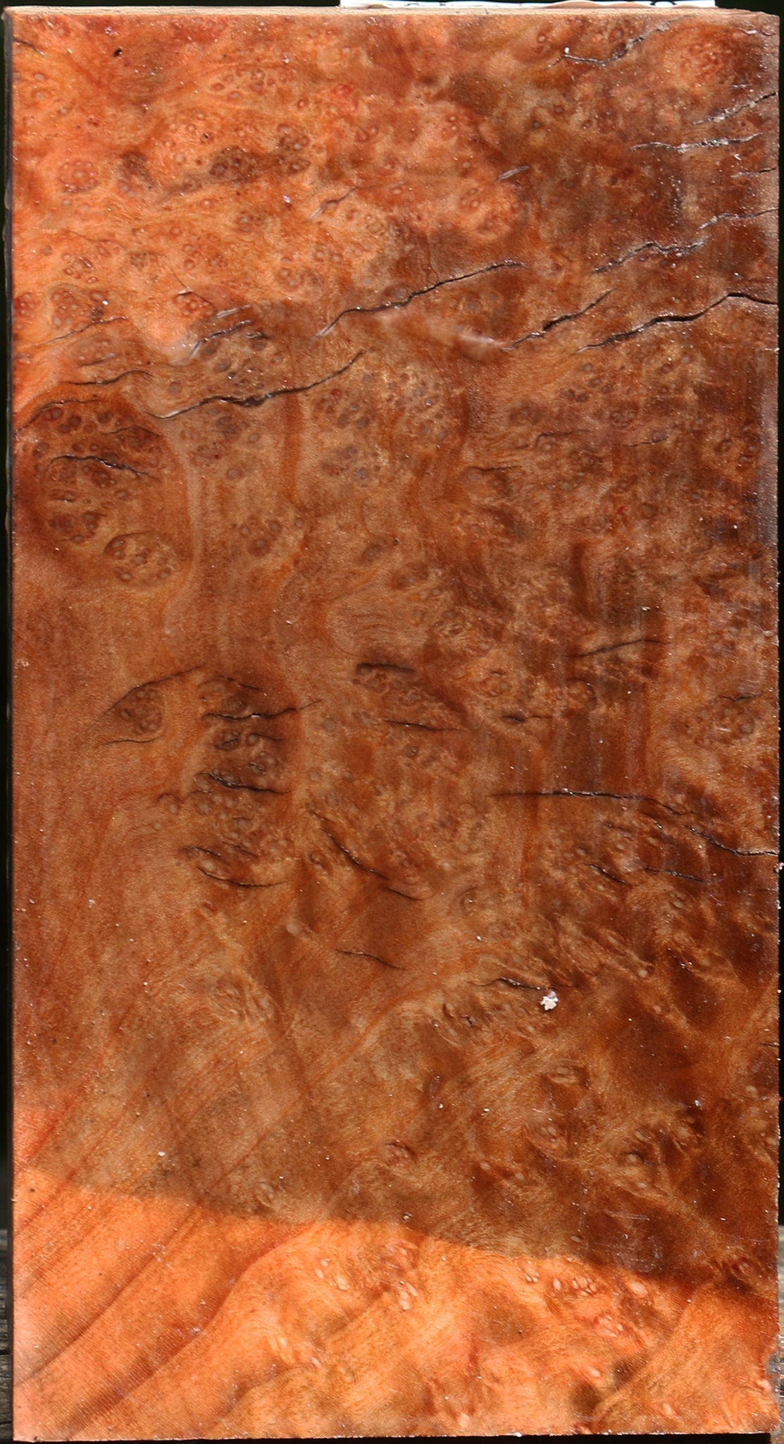 Madrone Burl Vessel Blank