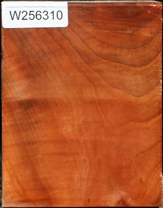 Madrone Turning Blank