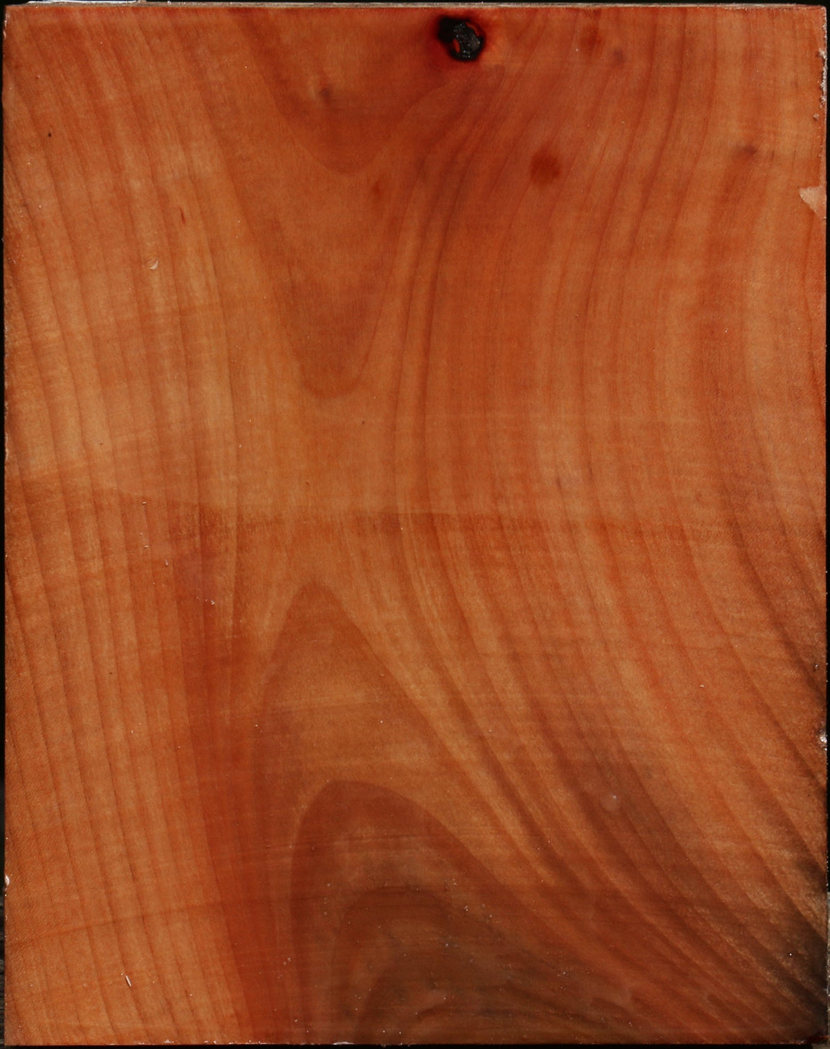 Madrone Turning Blank