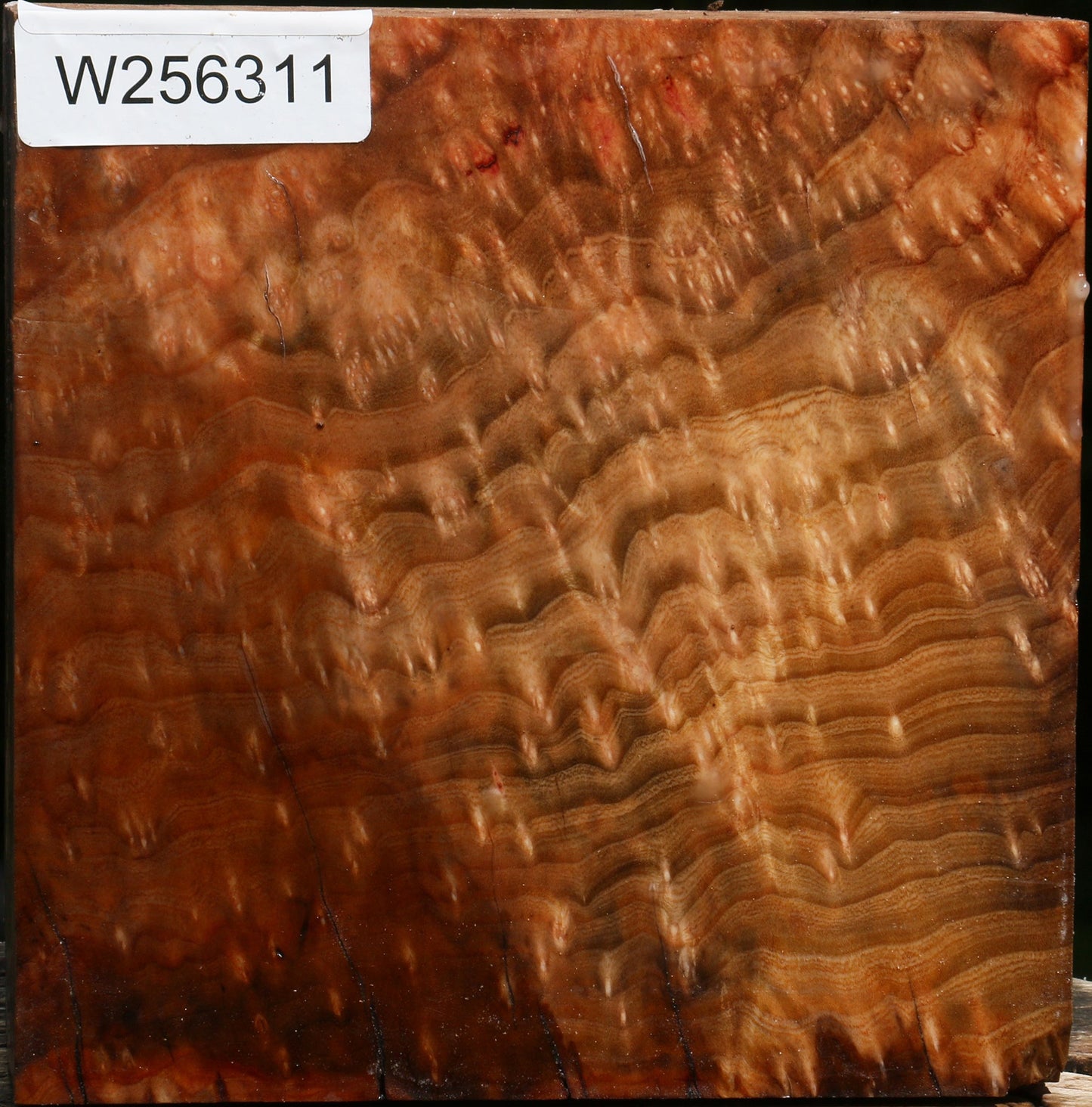 Madrone Burl Bowl Blank