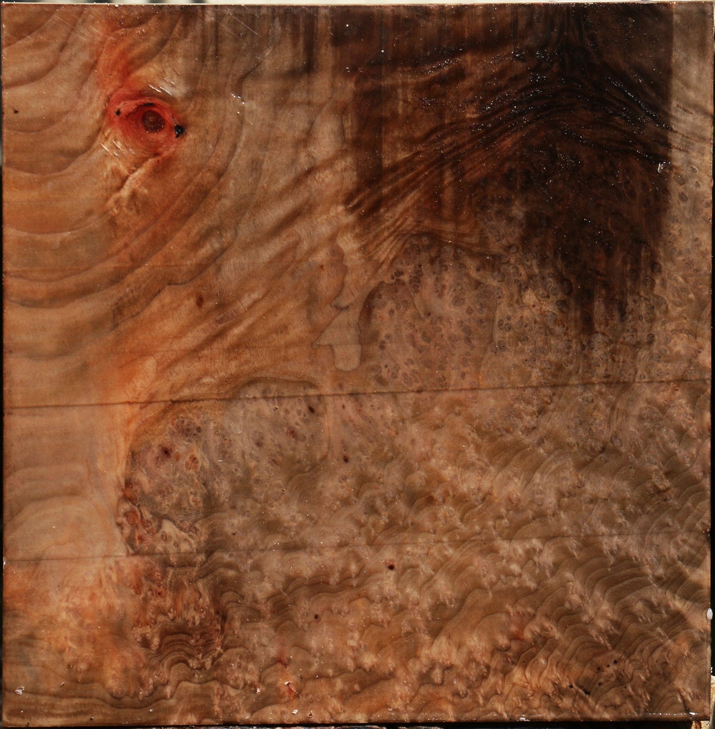 Madrone Burl Bowl Blank