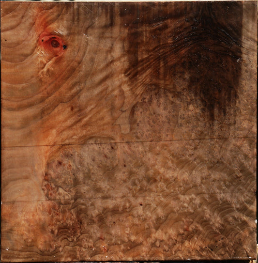 Madrone Burl Bowl Blank