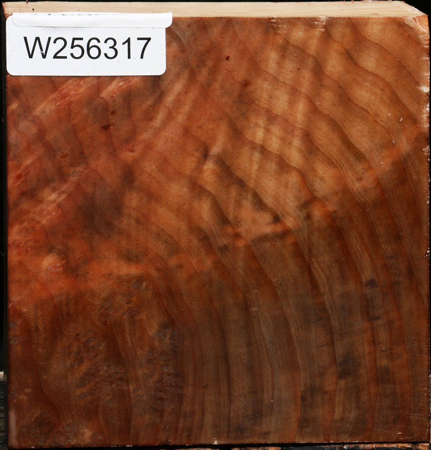 Madrone Bowl Blank