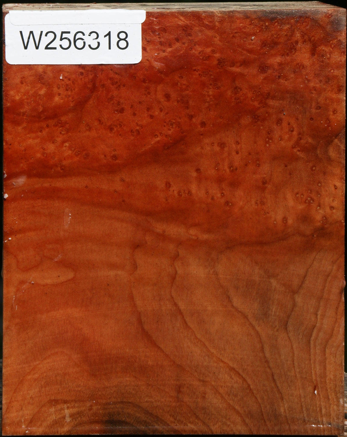 Extra Fancy Madrone Turning Blank