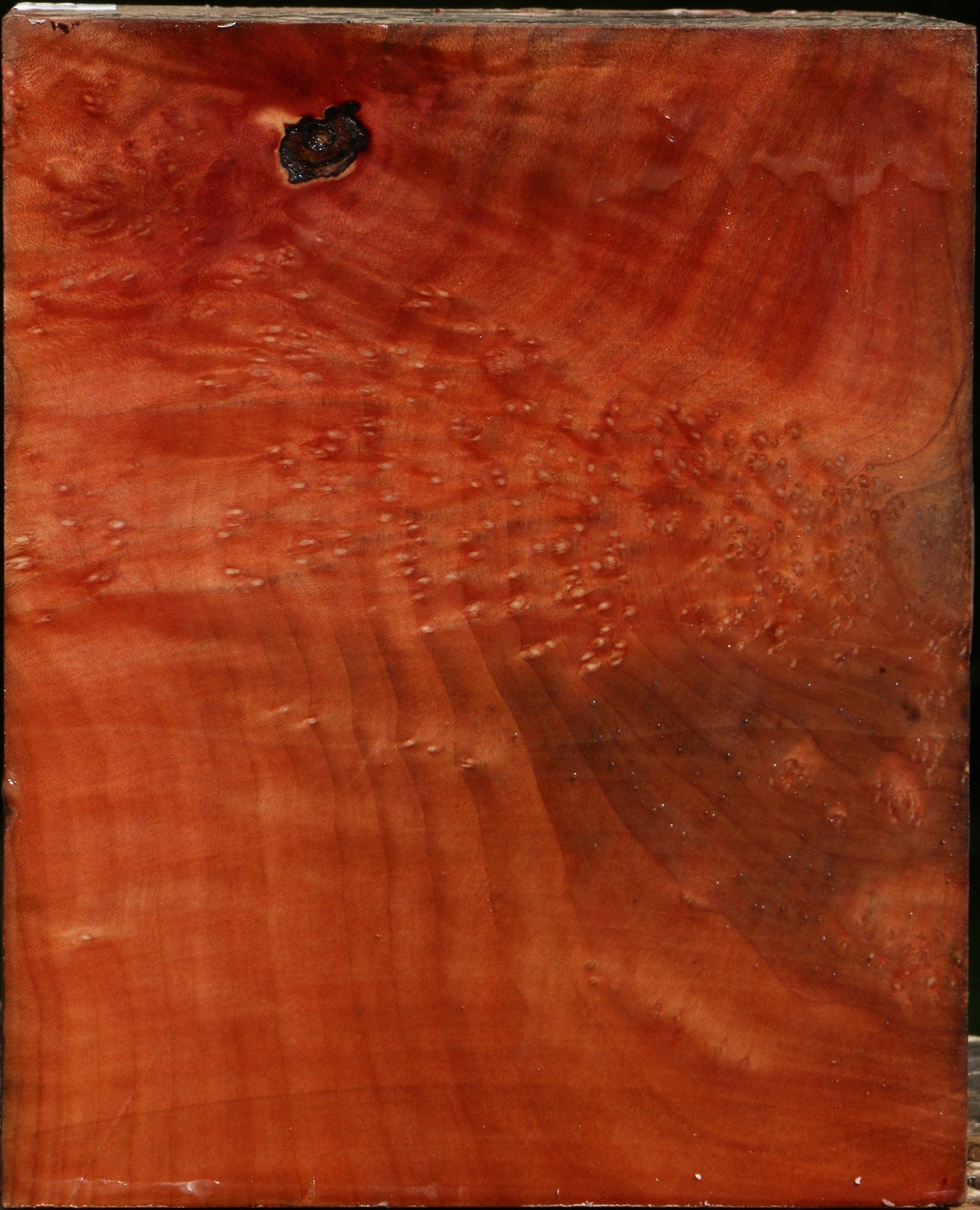 Extra Fancy Madrone Turning Blank