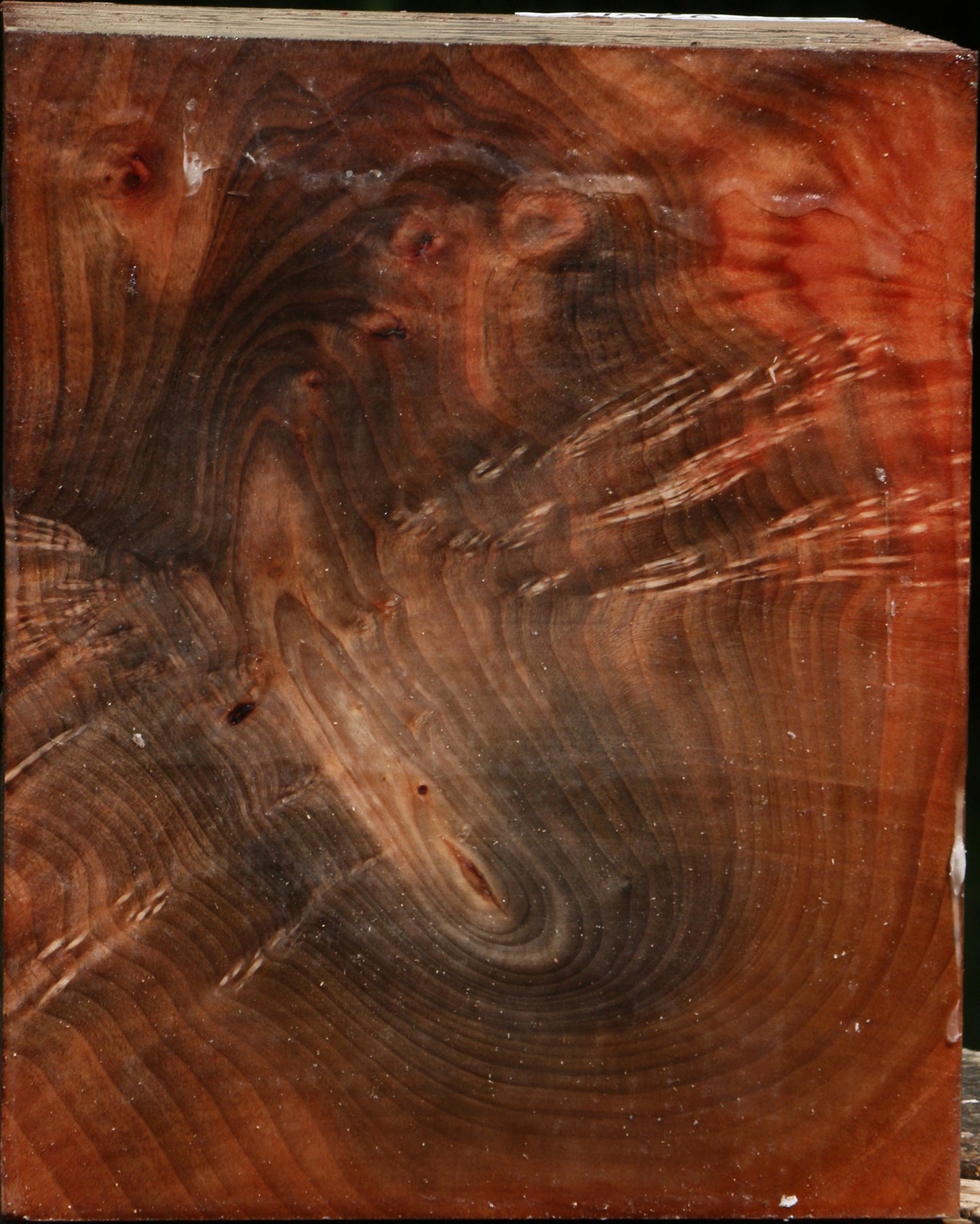 Extra Fancy Madrone Turning Blank