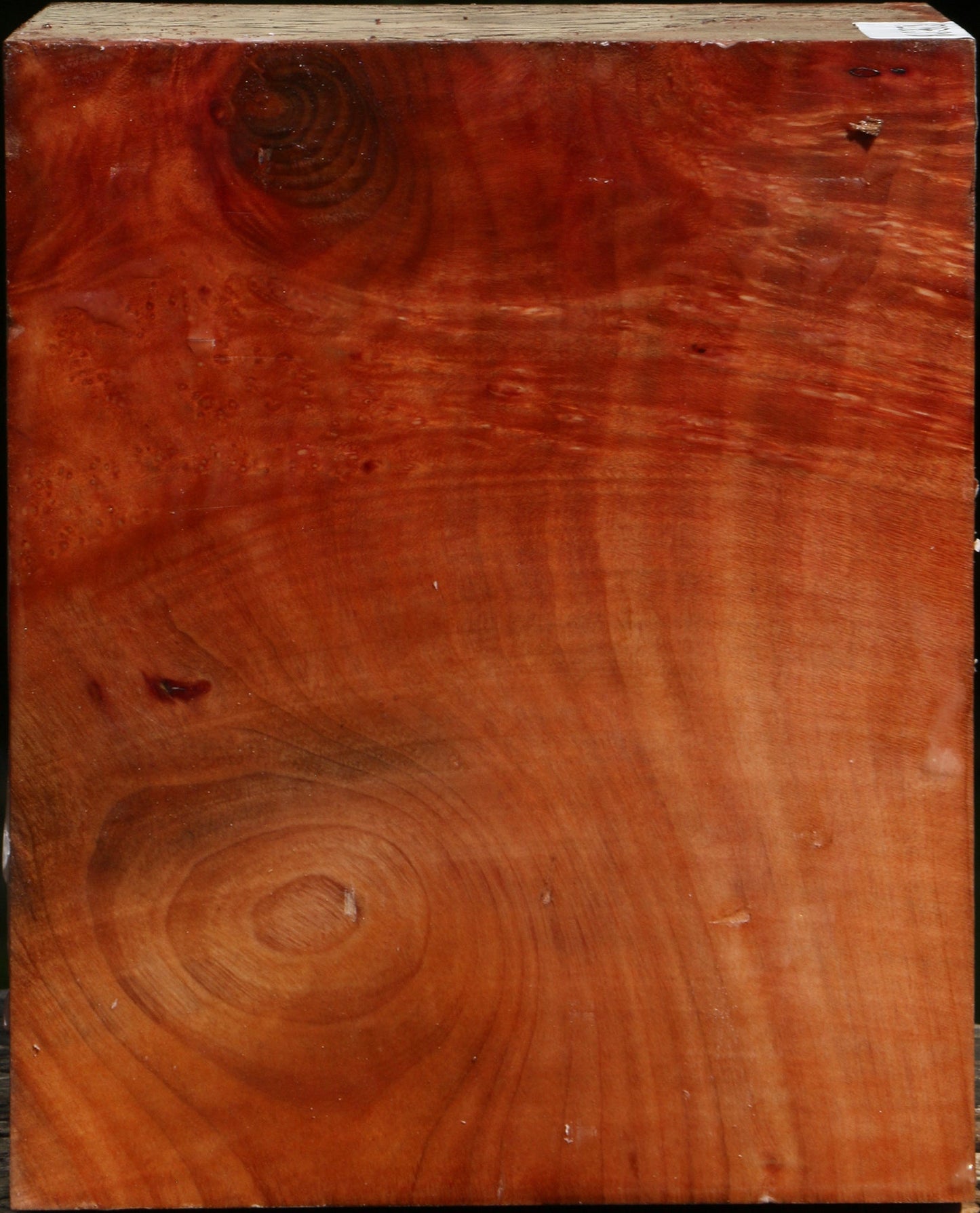 Extra Fancy Madrone Turning Blank
