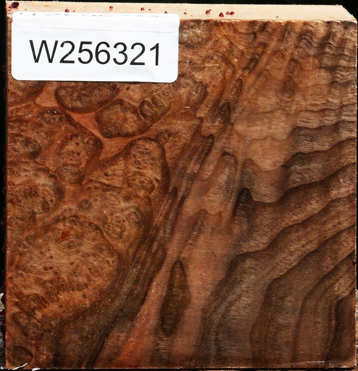 Extra Fancy Madrone Burl Bowl Blank