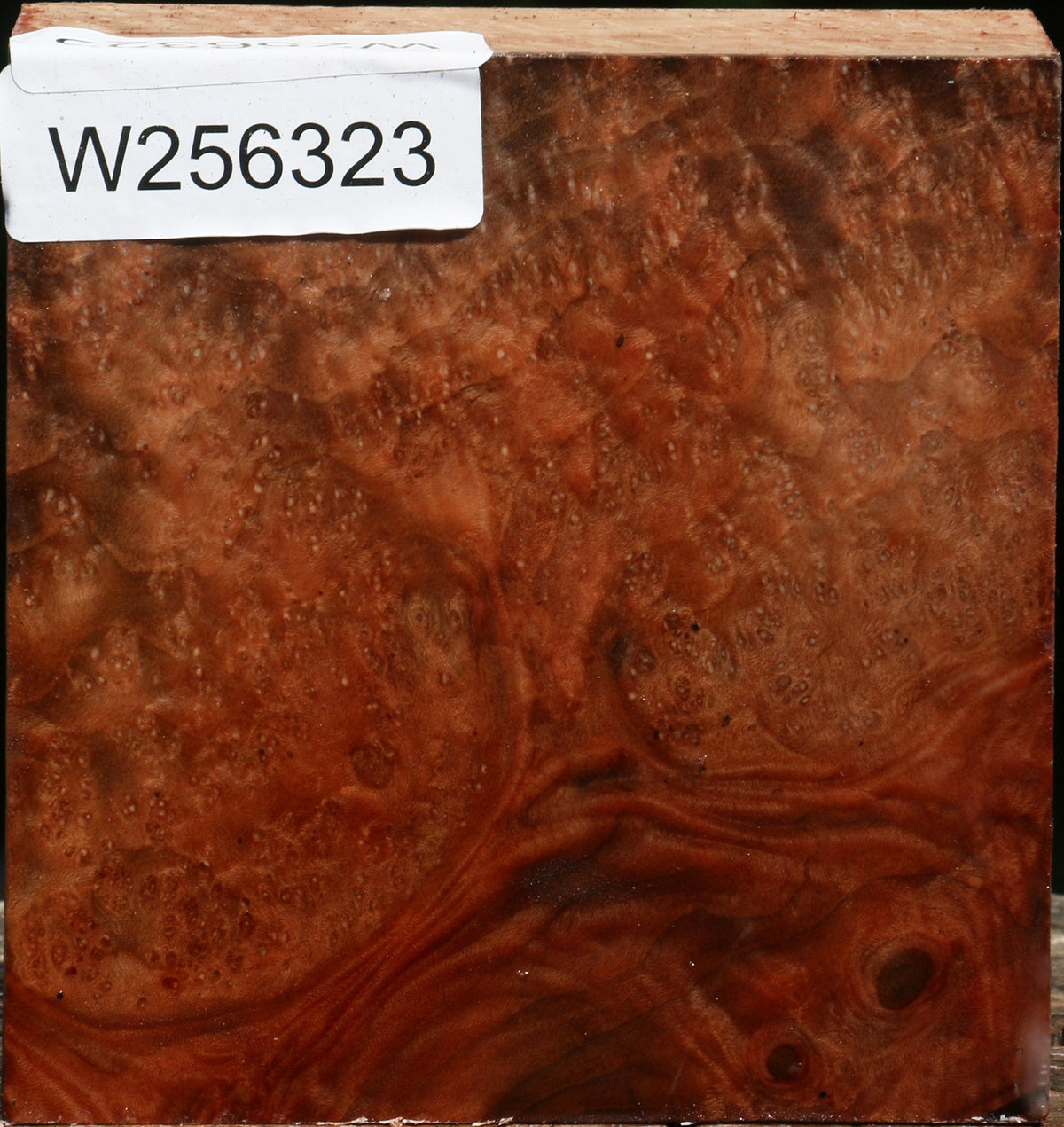 Madrone Burl Bowl Blank