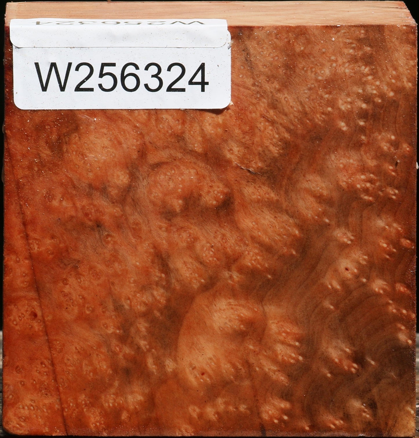 Madrone Burl Bowl Blank