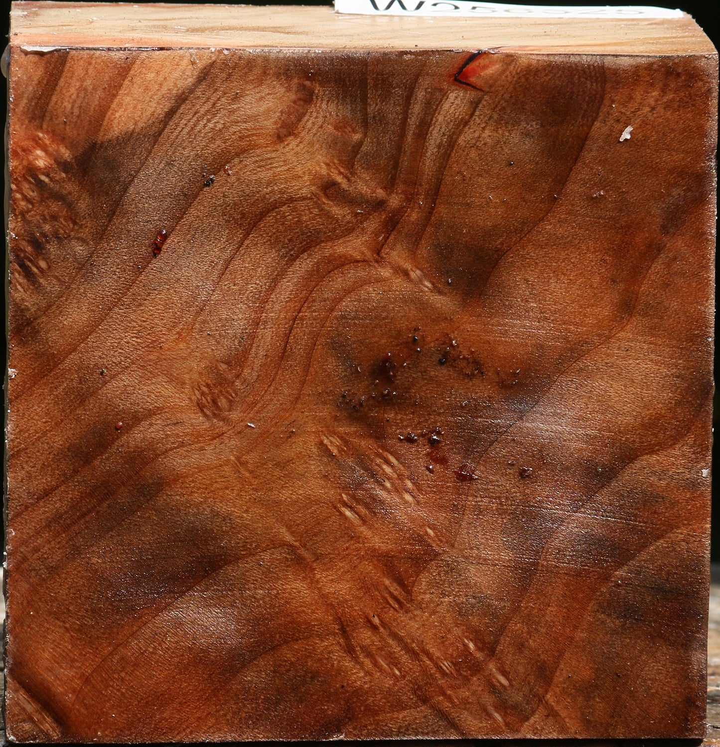 Madrone Bowl Blank