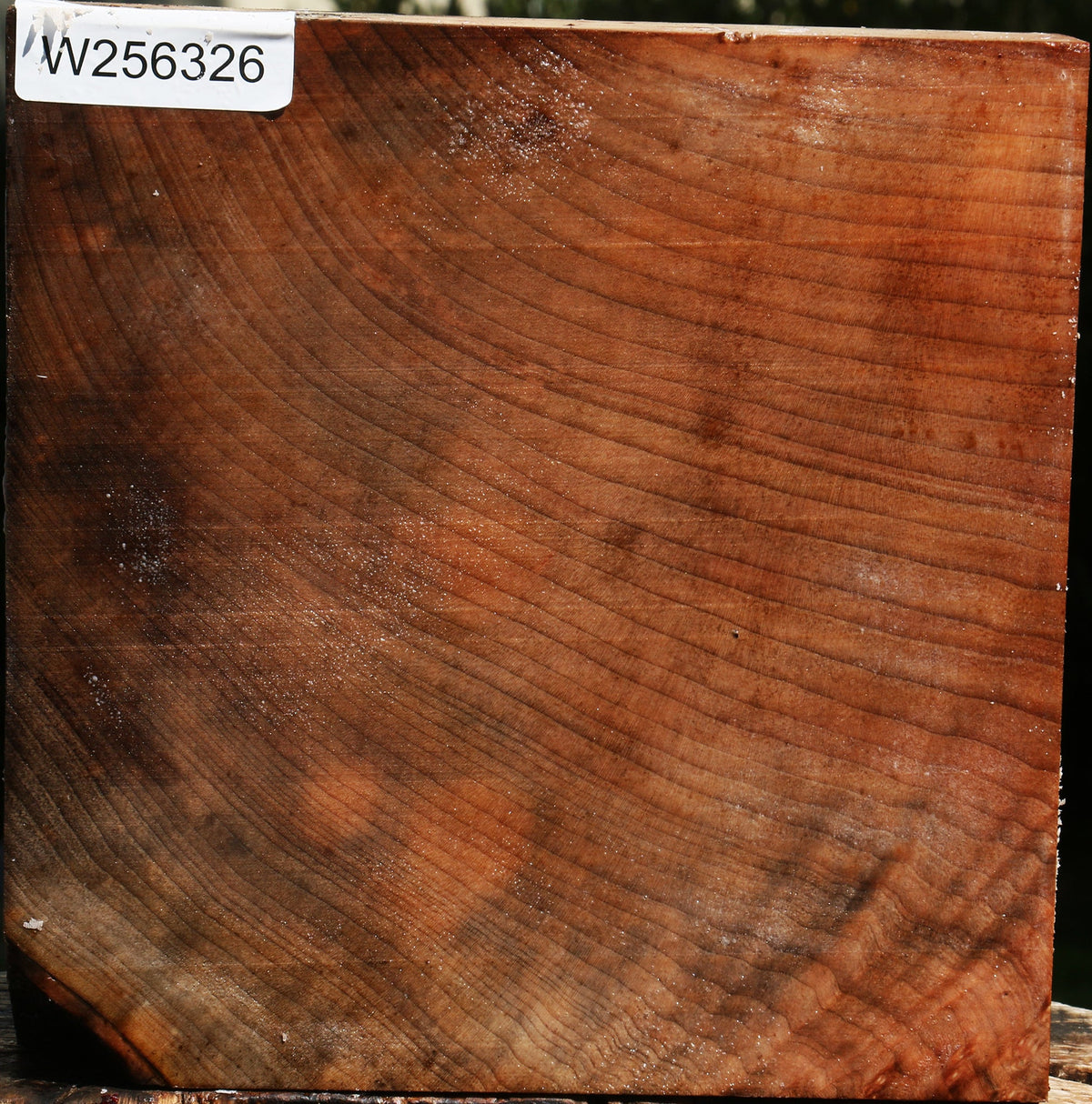 Madrone Bowl Blank