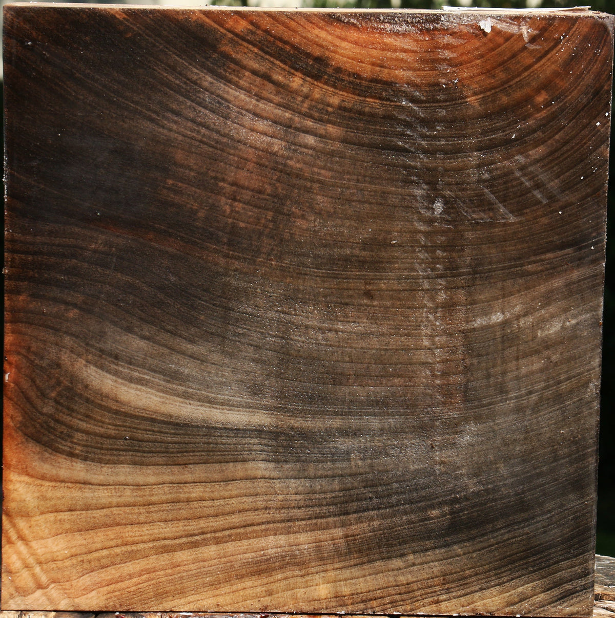 Madrone Bowl Blank