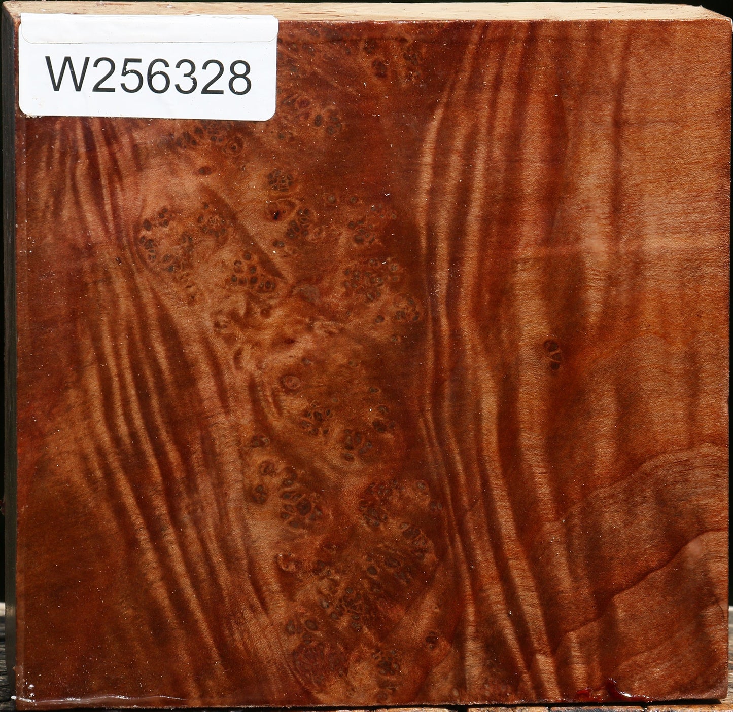 Madrone Burl Turning Blank
