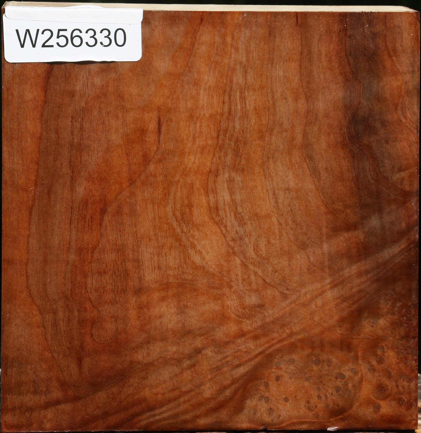 Madrone Bowl Blank