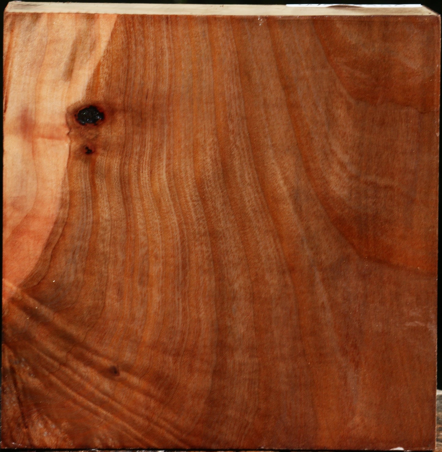 Madrone Bowl Blank
