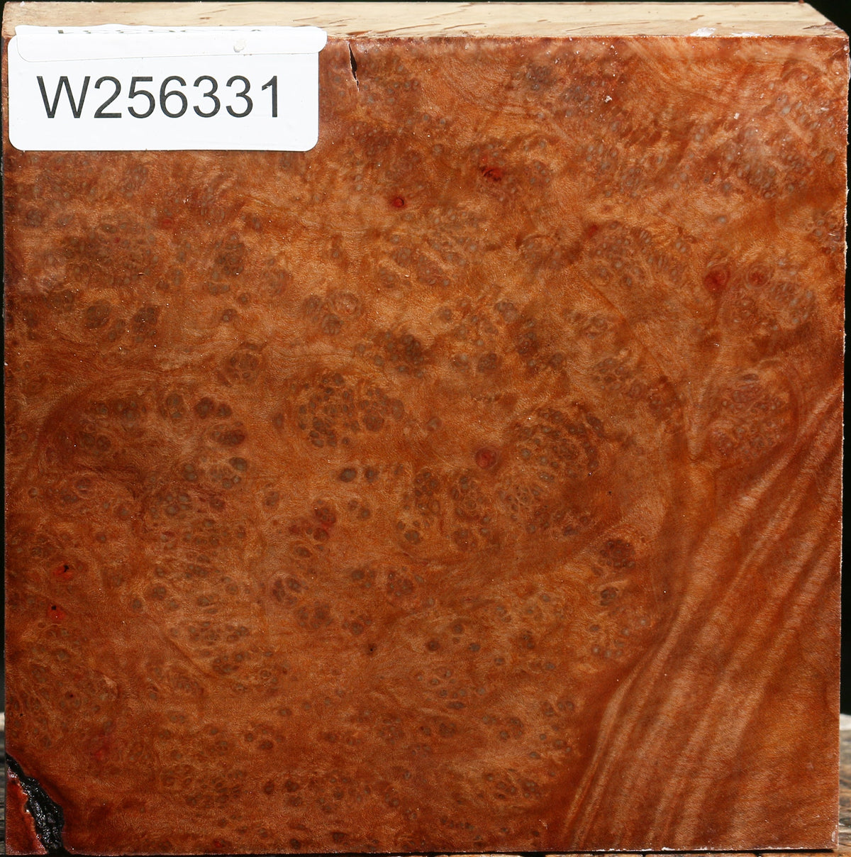 Madrone Burl Bowl Blank