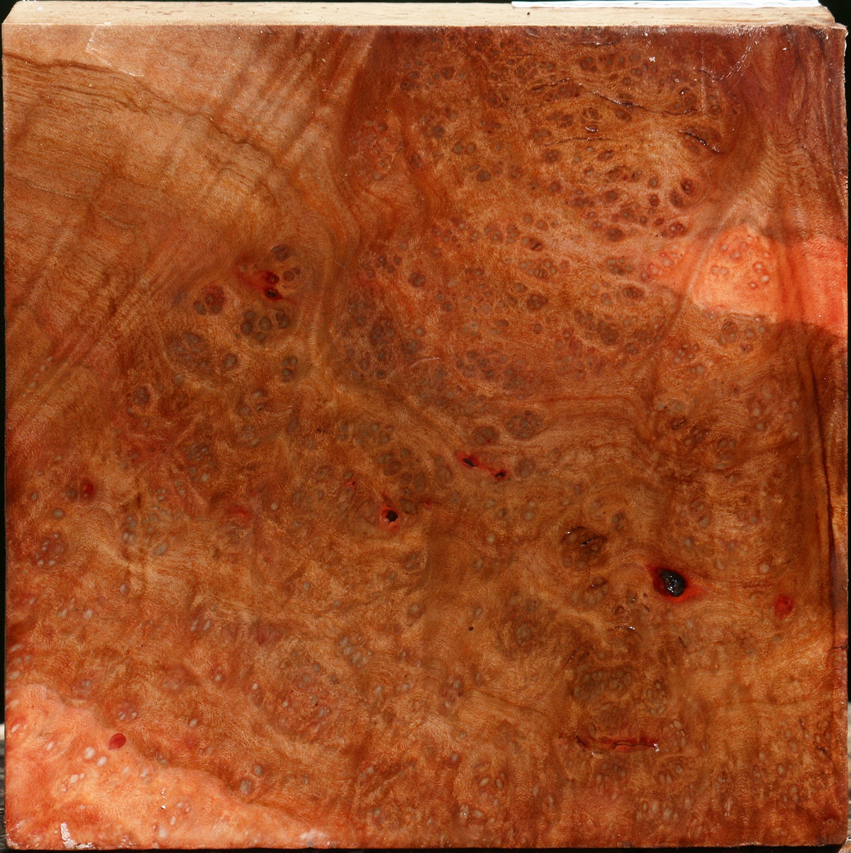Madrone Burl Bowl Blank