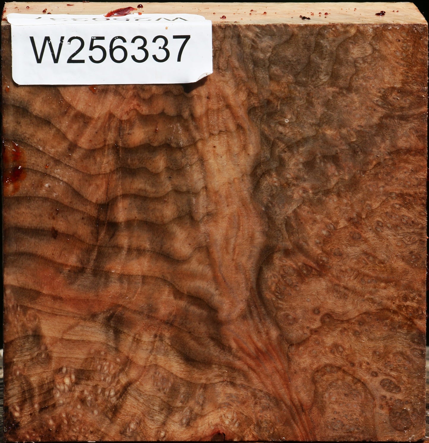 Madrone Burl Bowl Blank