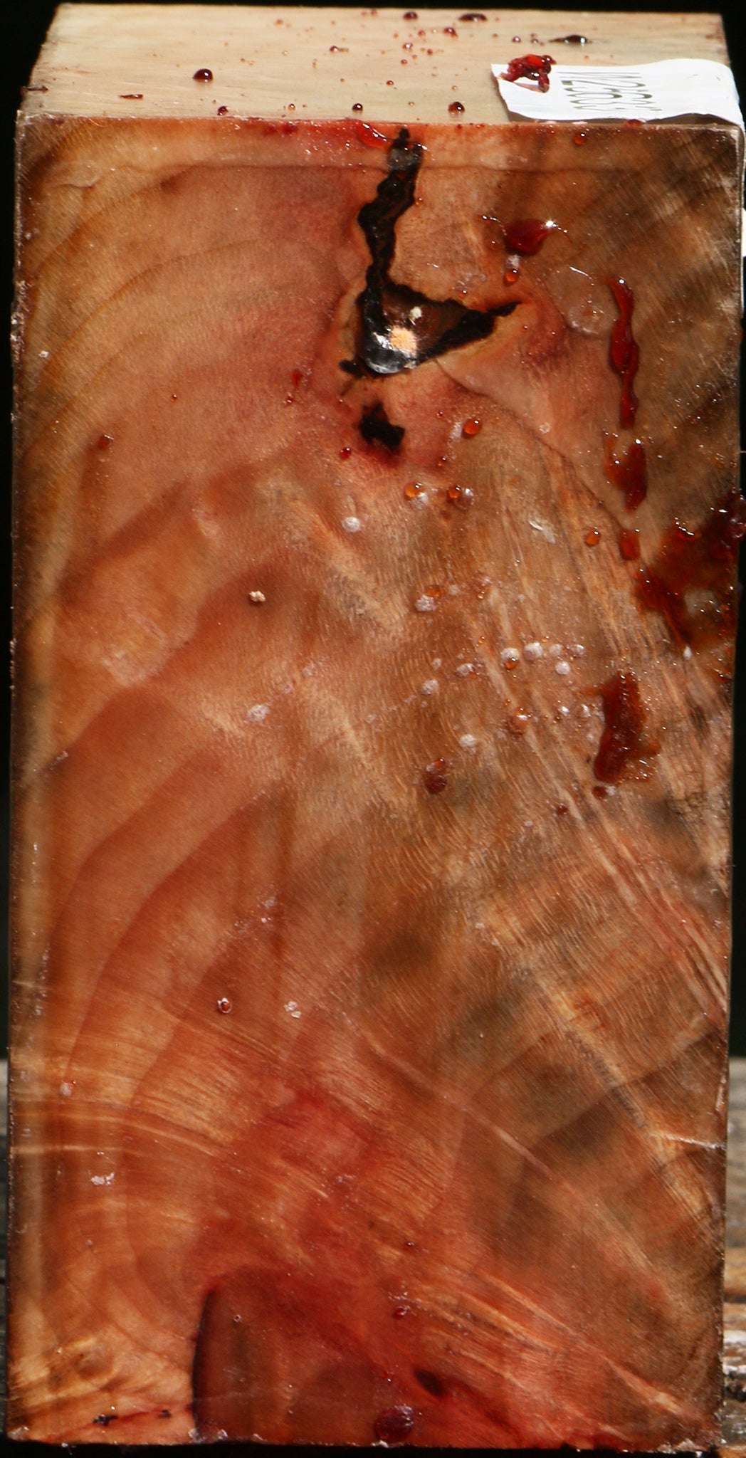 Madrone Burl Bowl Blank