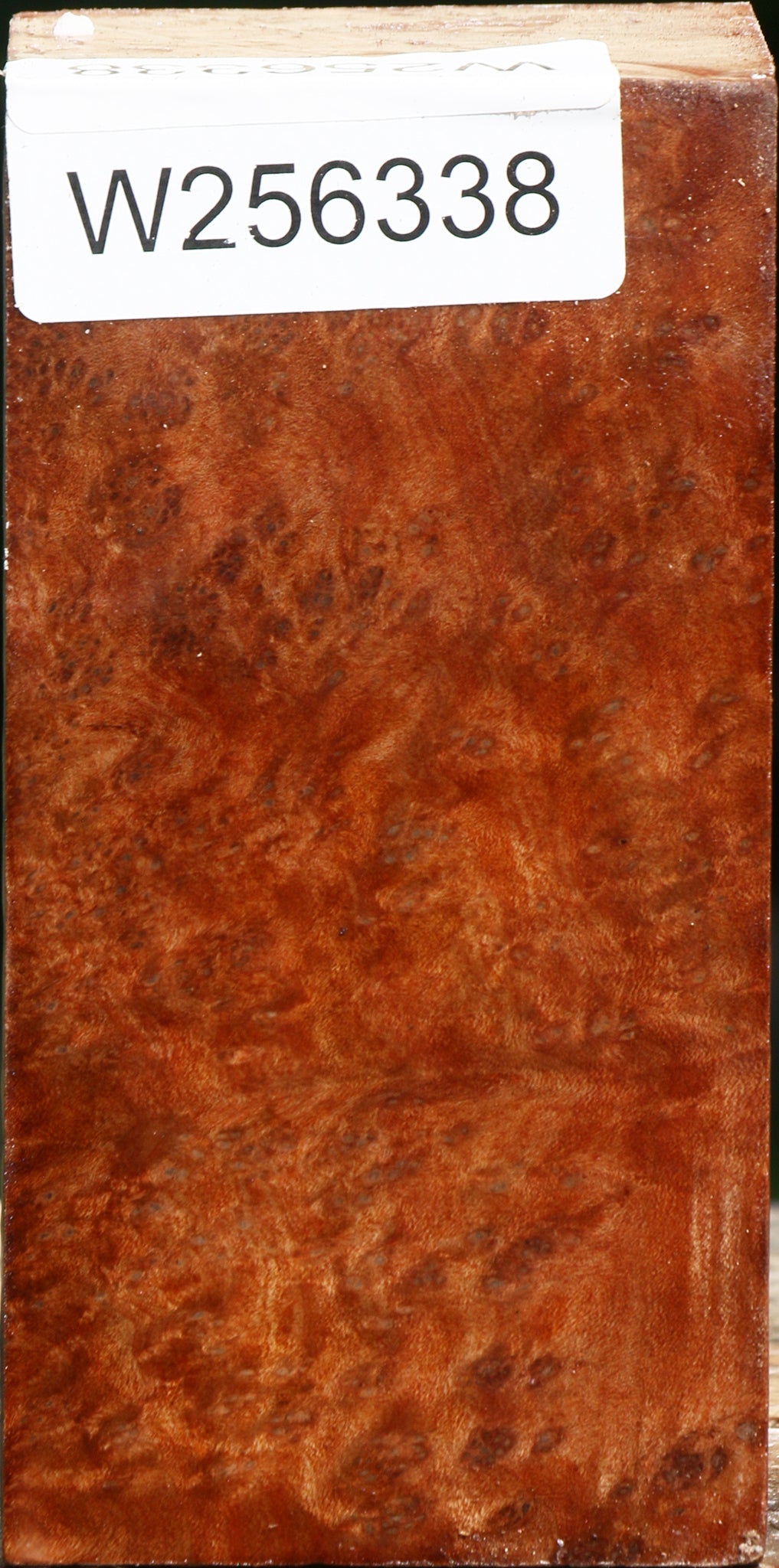 Madrone Burl Turning Square