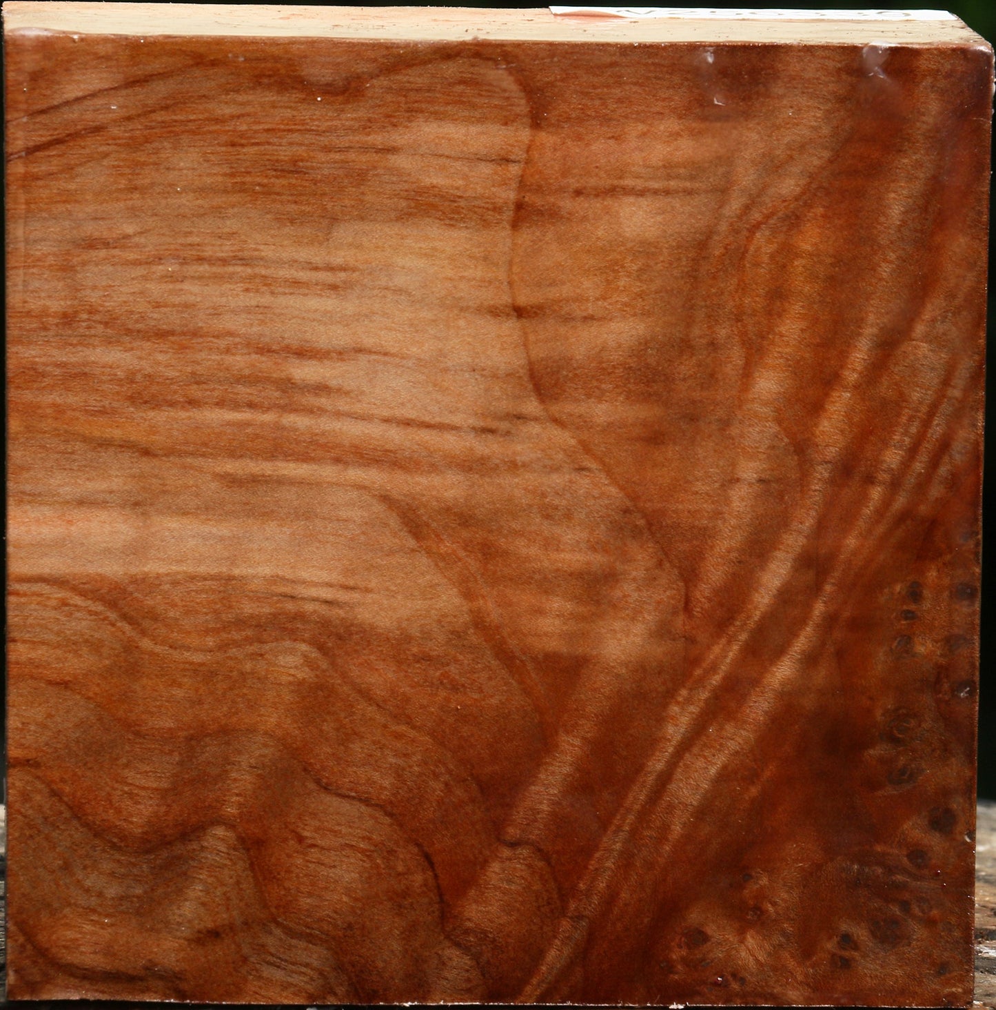 Extra Fancy Madrone Bowl Blank