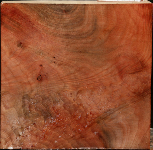 Extra Fancy Madrone Bowl Blank