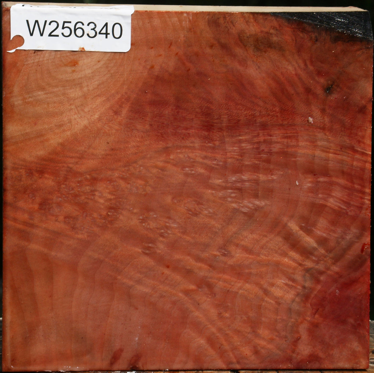 Extra Fancy Madrone Bowl Blank
