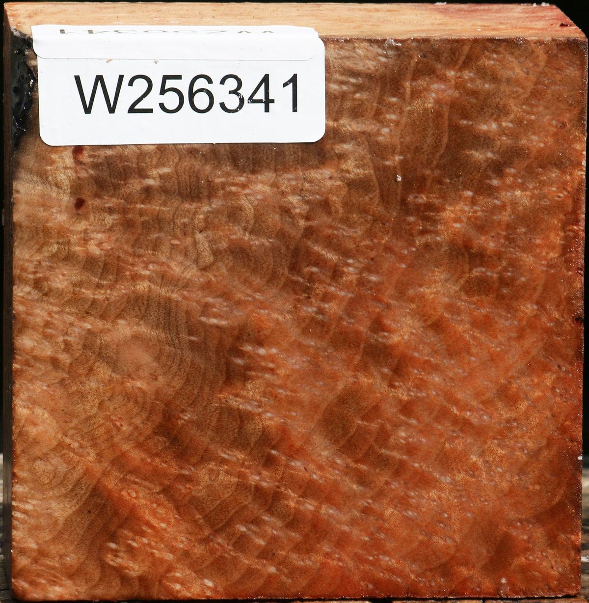 Madrone Burl Bowl Blank