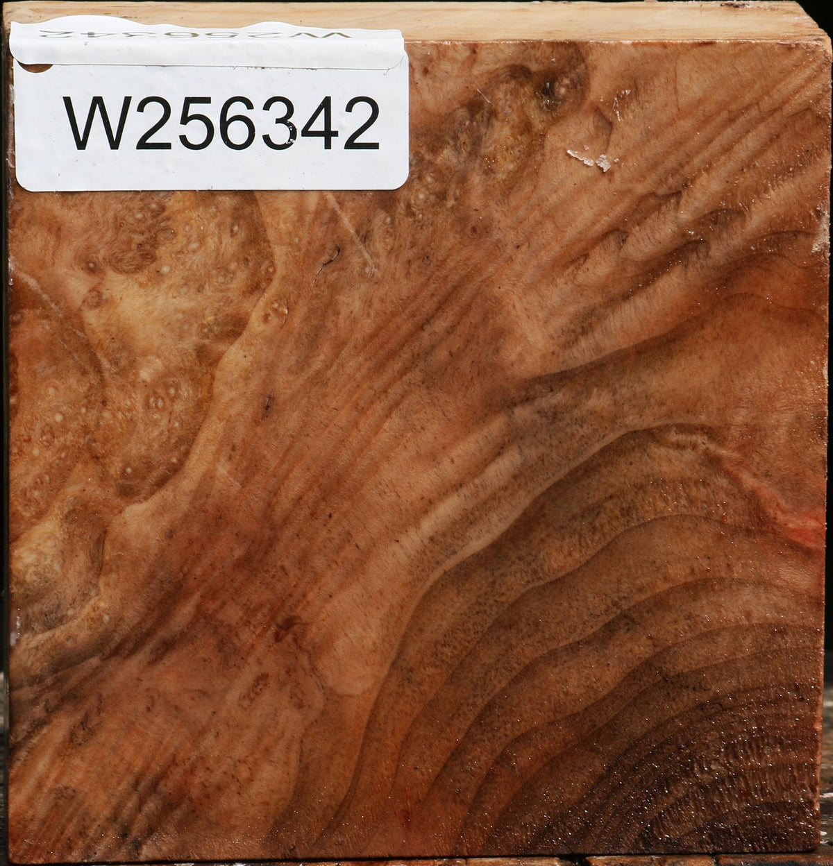 Extra Fancy Madrone Bowl Blank
