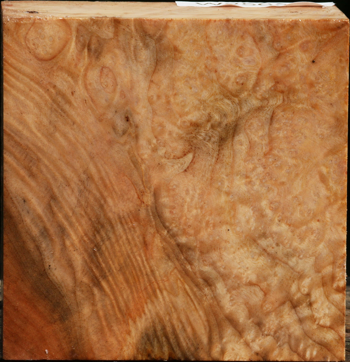 Extra Fancy Madrone Bowl Blank