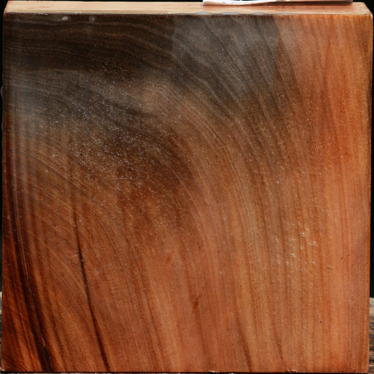 Madrone Bowl Blank