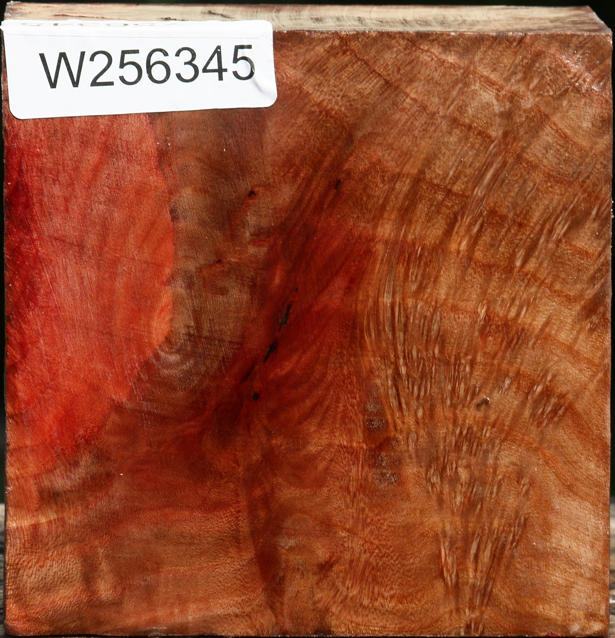 Madrone Burl Bowl Blank