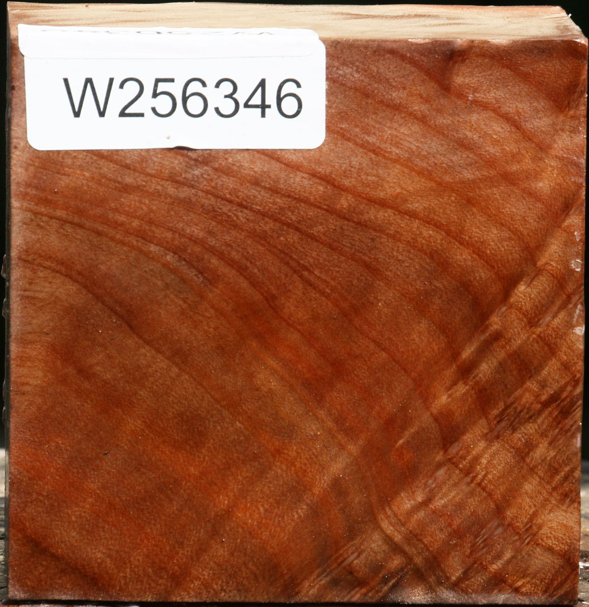 Madrone Burl Bowl Blank