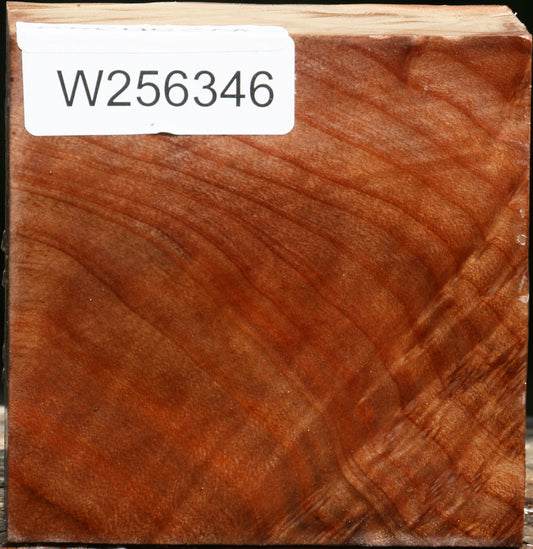 Madrone Burl Bowl Blank